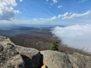 Mary's Rock Trail