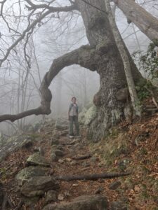 Mary's Rock Trail